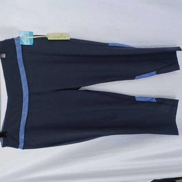 Tangerine Womens Capri Leggings Pants Gray Blue Color Block Stretch Mesh L - Picture 1 of 8